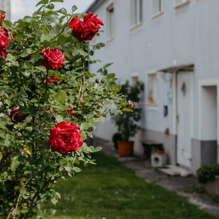 Ferienwohnung Morgensonne Шютцен-ам-Гебирге Экстерьер фото