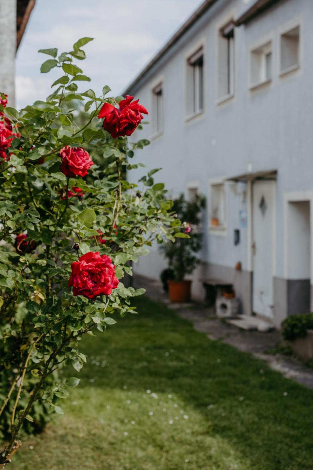 Ferienwohnung Morgensonne Шютцен-ам-Гебирге Экстерьер фото